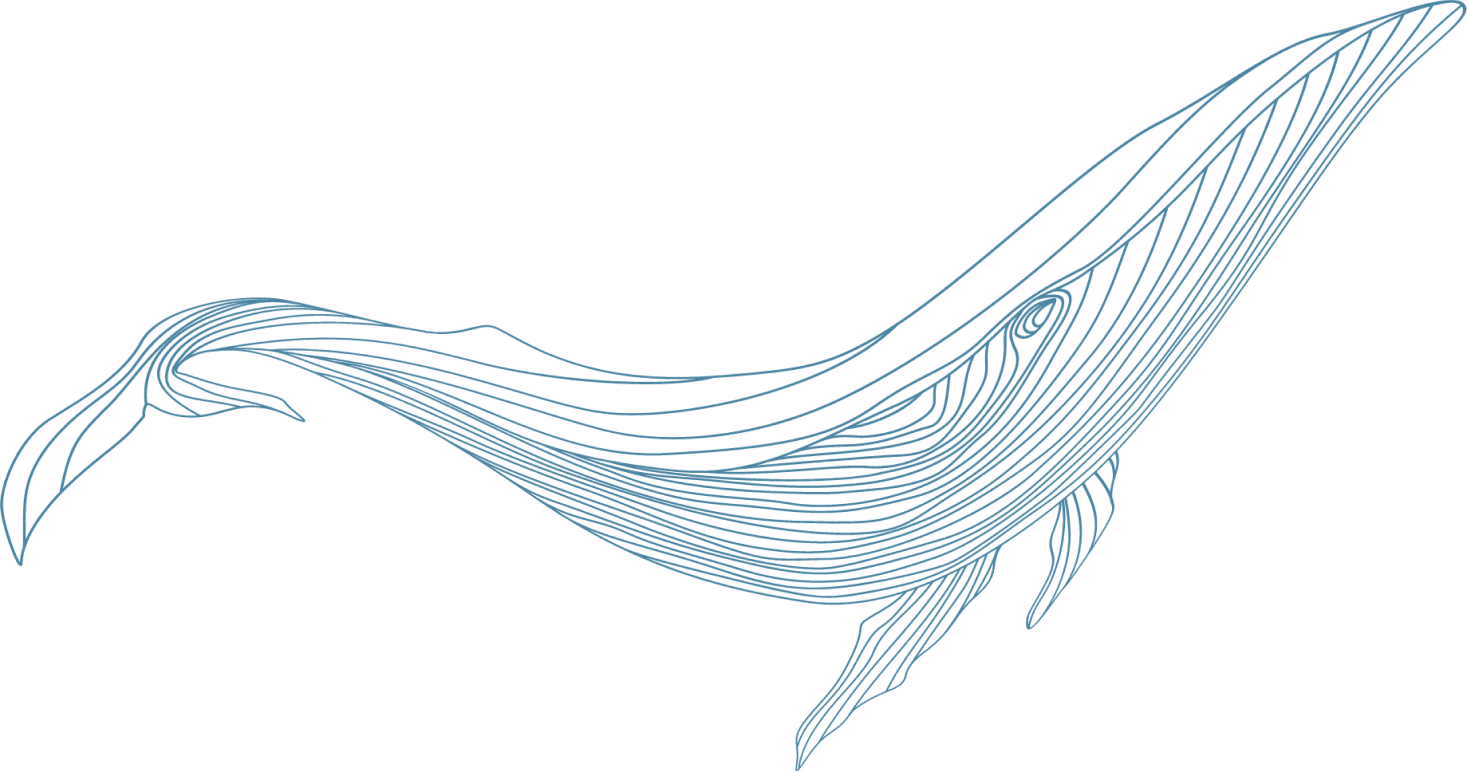 whale_3